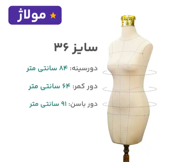 مانکن کرم سوزن خور خط دار سایز 36 - Image 1