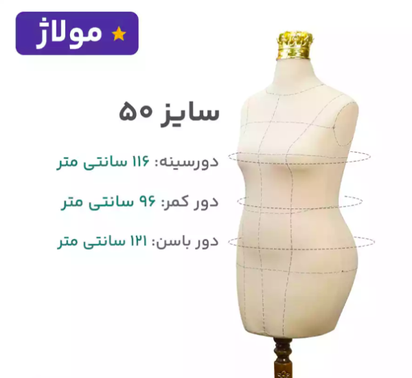 مانکن کرم سوزن خور خط دار سایز 50 - Image 1